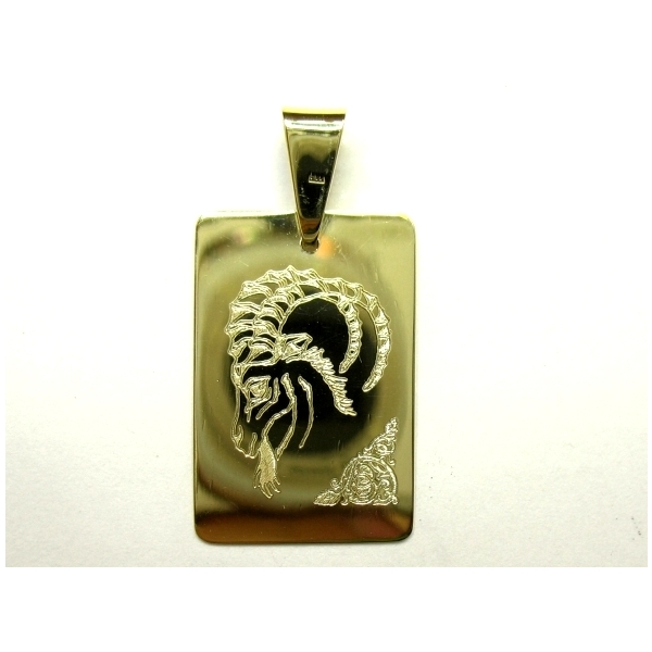 kozoroh přívěšek